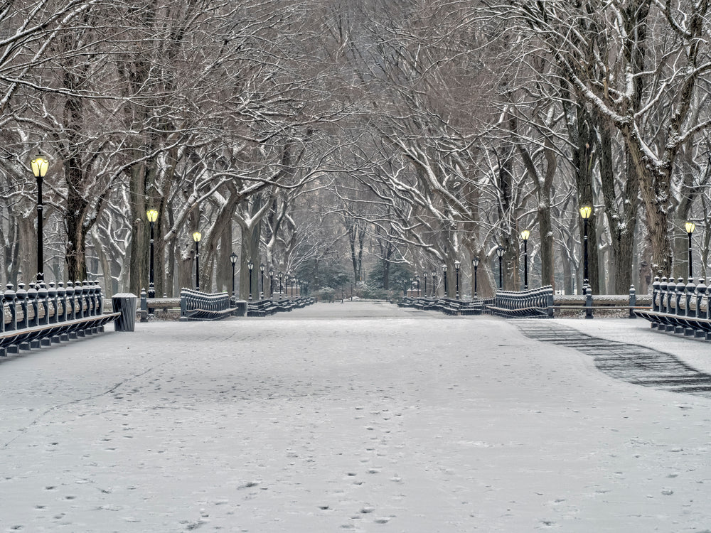 In The Bleak Midwinter